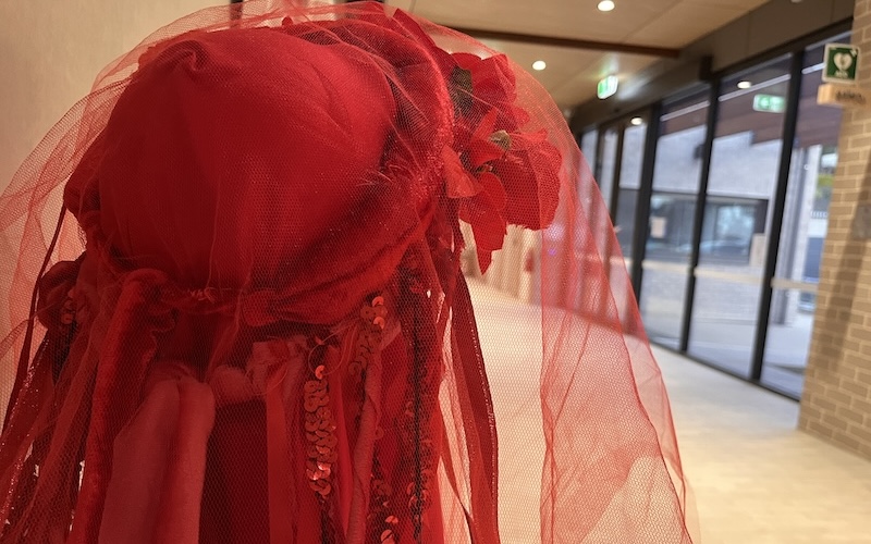 Red Rebel Brigade SALA Exhibit