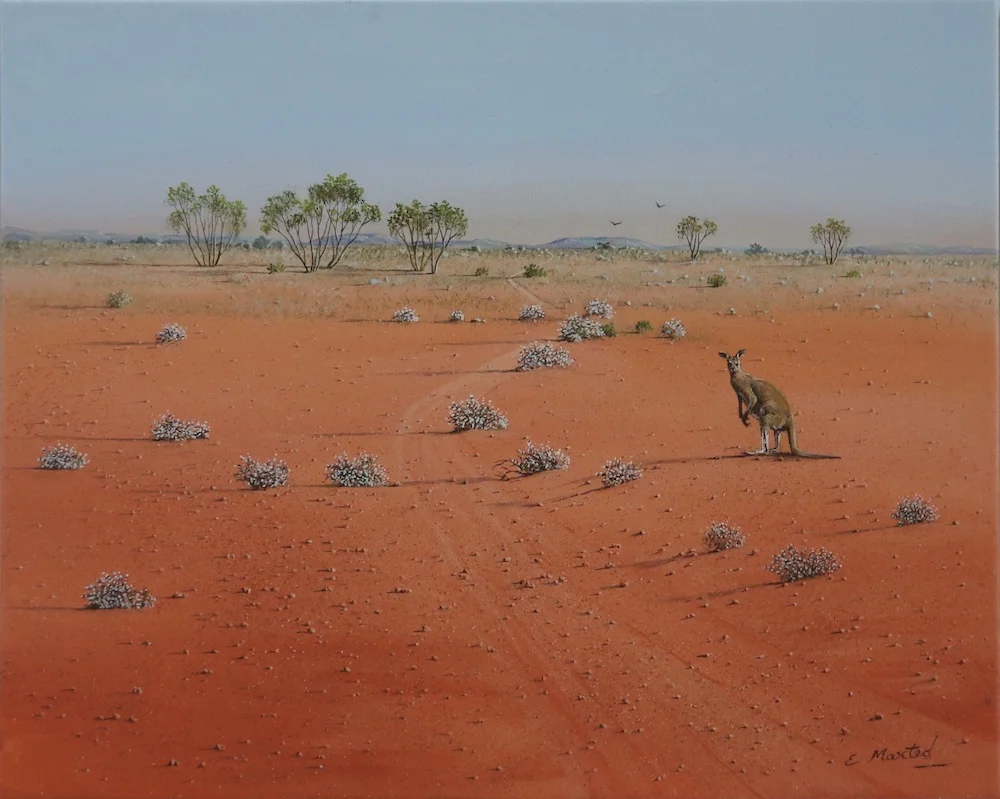 Marion Art Group Summer Exhibition