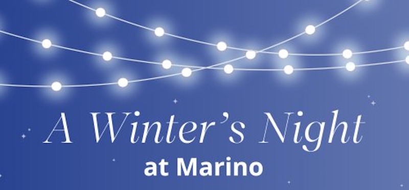 A Winters Night at Marino
